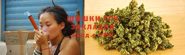 шишки Нягань
