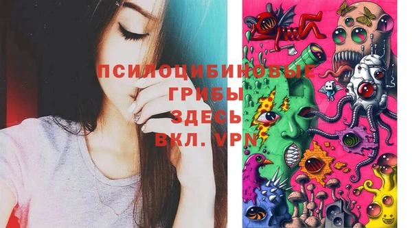 не бодяженный Няндома