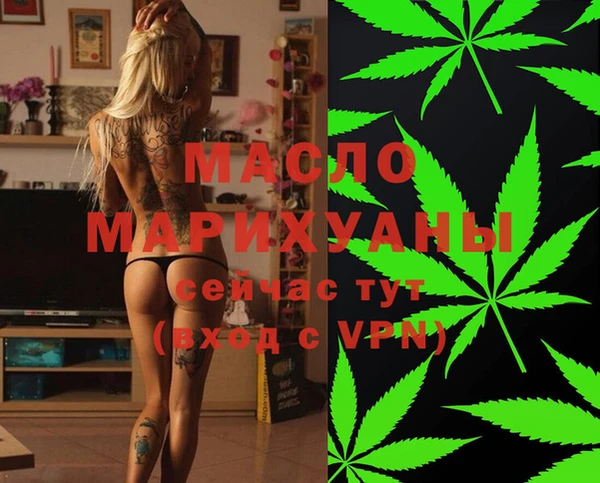 индика Ельня