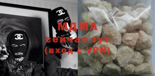 индика Ельня