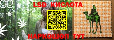 шишки Гусиноозёрск