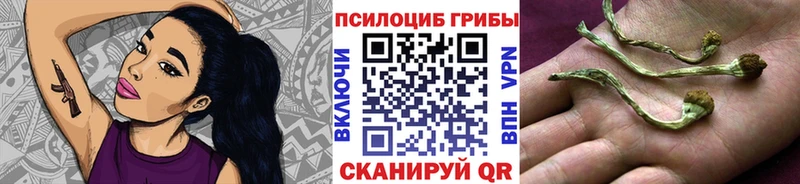 Псилоцибиновые грибы мухоморы  кракен как зайти  Кашира 