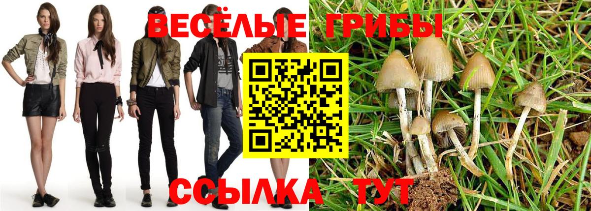 Галлюциногенные грибы Psilocybe  Вход с VPN  Кашира  Псилоцибиновые грибы Magic Shrooms 